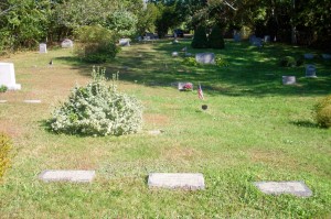 Edgar Wright Family Headstones (Eleanor next to bush)